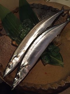 ɂ́BH߂ė̍łAFl߂ł傤H